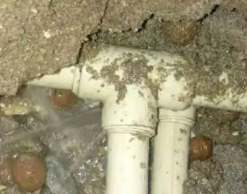 岭东测漏水多少钱