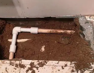 岭东测漏水哪家好