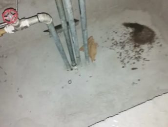 岭东卫生间测漏水价格明细