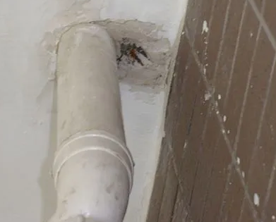 岭东漏水检测哪家好